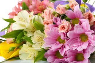 Memorial Florists and Greenhouses LOCAL SAME DAY & EXPRESS DELIVERY