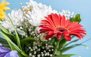 Memorial Florists & Greenhouses Summer Themed Floral Arrangements