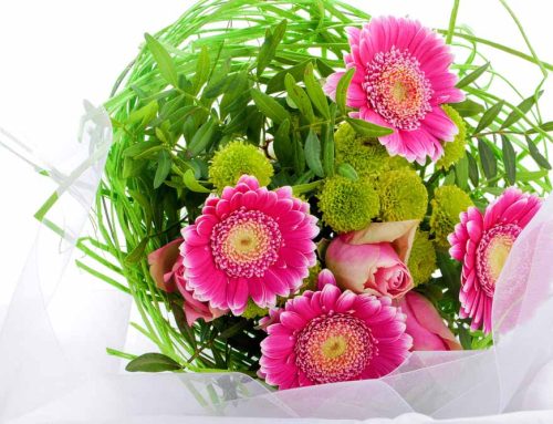 Celebrate Connections with Parents Day and International Day of Friendship Flowers