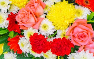 Memorial Florists and Greenhouses Offers Gorgeous Labor Day Flowers and Plants LOCAL SAME DAY & EXPRESS DELIVERY