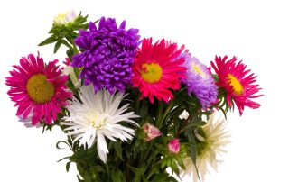 Memorial Florist Offers Great September Birthday Flowers and Plants Same-Day Delivery Service