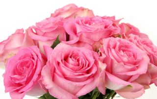 Memorial Florists and Greenhouses Supports Breast Cancer Awareness with Pink Flowers