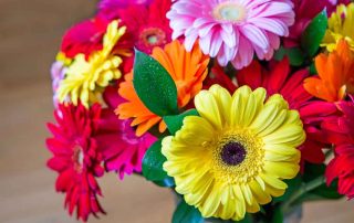 Memorial Florists and Greenhouses Offers Ferber Elementary School Flower Delivery Services Visit us to See Our Festive Halloween Flower Arrangements