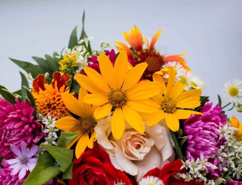 Greenville Wisconsin Flower Delivery for Thanksgiving and Many Special Holidays: Offered By Memorial Florists