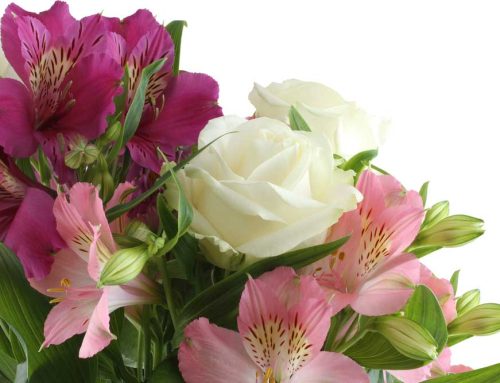 Seefeld Funeral and Cremation Services Flower Delivery for Veterans Day Flowers: Memorial Florists Proudly Offers