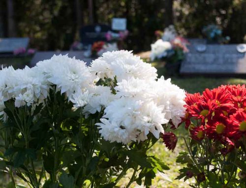 Memorial Florist & Greenhouses Offers Holiday Flower Delivery to Valley Funeral Home