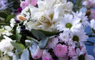 Memorial Florists offers Winter Flower arrangements