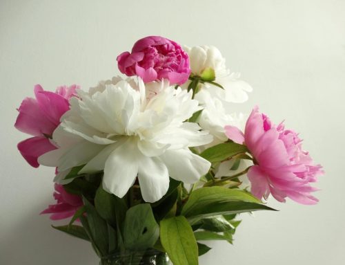 Impress Your Holiday Host with Thank-you Flowers from Memorial Florists