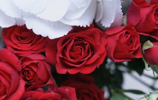 Memorial Florists offers Valentine's Day Office delivery