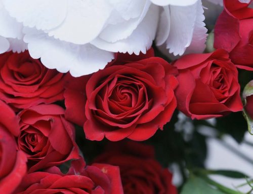 Valentine’s Day Flowers are a Sweet Surprise When Delivered to the Office