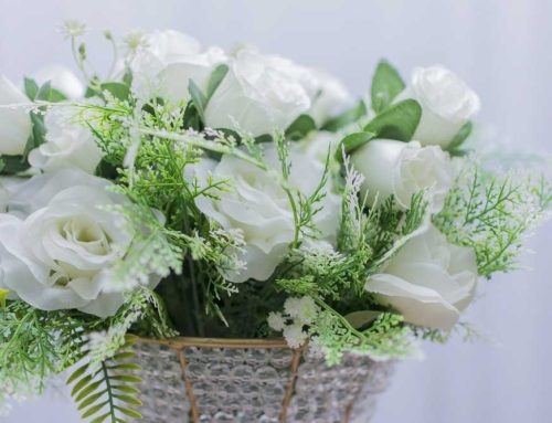 Saint Patrick’s Day Flowers Add Festivity to School Celebrations