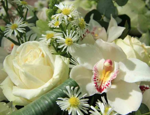 Sympathy Flowers Offer a Heartfelt Way to Express Condolences and Support During Difficult Times