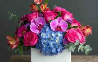 Hydrangea and Pink Roses Get Well